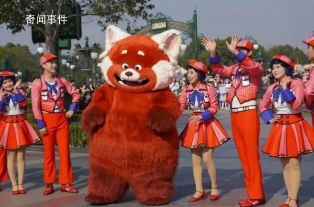 小熊猫美美上海迪士尼首发亮相 引来一众游客的驻足与欢呼