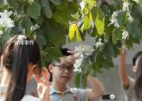 老师停课带学生赏花 春有约花不误