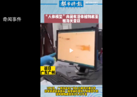 海关查获活体根茎 工作人员依法对其进行处置