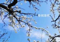 公园赏花赶紧安排起来 百花齐放