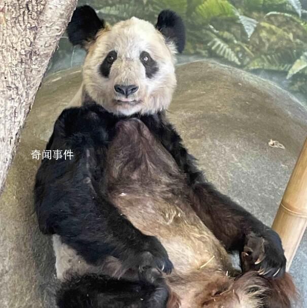 丫丫回国后将住进妈妈曾经的家 将公示丫丫回国证明