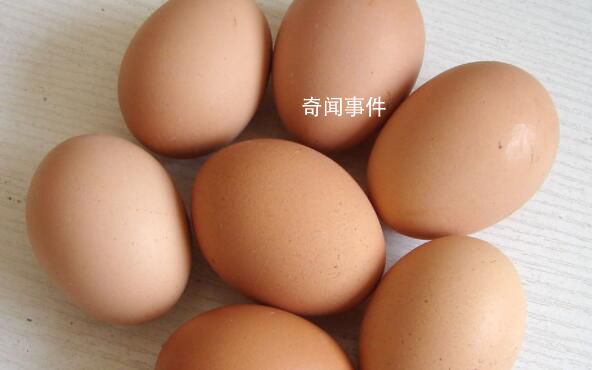 台湾民众买24颗鸡蛋花了400块 民众称日子过得连难民都不如