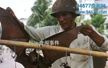 全球十大最变态食物 变态的食物有哪些 变态食物排行榜