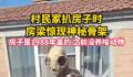村民房梁现神秘骨架 背后真相令人震惊