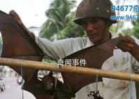 全球十大最变态食物 变态的食物有哪些 变态食物排行榜