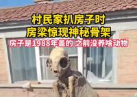 村民房梁现神秘骨架 背后真相令人震惊