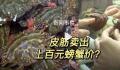一斤皮筋卖出上百元螃蟹价 商家竟称为了好卖