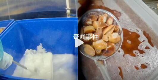 大连海鲜加工厂硼砂泡出黄金鲍 海参边煮边上色