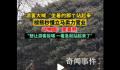 动物园棕熊卖力营业被疑是人扮的 回应：是真熊想让游客投喂