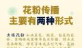 今年花粉高峰期来得猛又早 花粉高浓度状态将持续数月