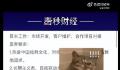 深圳一公司招聘要求员工吃素 保证都是气质命好的同行者