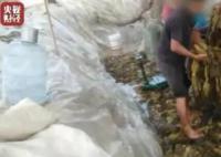 那些曾被315点过名的品牌怎么样了 回顾过往的315