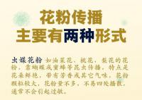 今年花粉高峰期来得猛又早 花粉高浓度状态将持续数月