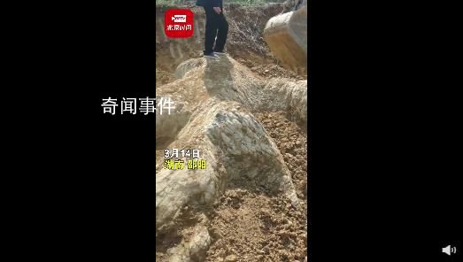 湖南邵阳疑似挖出龙化石?当地回应