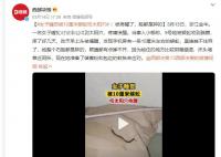 女子睡觉时被10厘米蜈蚣咬太阳穴 被疼醒了脸都是肿的