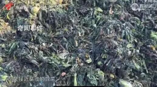 起底汕头赤脚踩腌菜涉事公司 两涉事企业腌菜技艺曾列入区级非遗目录