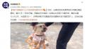 警犬搜毒超12公斤被奖励鸡腿花环 汪汪队再立大功