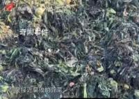 起底汕头赤脚踩腌菜涉事公司 两涉事企业腌菜技艺曾列入区级非遗目录