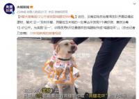 警犬搜毒超12公斤被奖励鸡腿花环 汪汪队再立大功