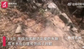江西2岁半男童失联 数百人山中搜寻