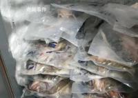 半天妖烤鱼垃圾桶捞回餐食又端上桌 只要不臭都能用