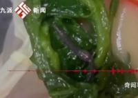 杨国福麻辣烫被曝吃到煮熟蚯蚓 非常恶心