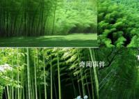云南竹博园遇“先拆后补”起诉政府