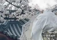 男子吐槽女子穿和服在景区拍照 有些不尊重历史伤风败俗
