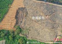 东航事故一年后航拍对比 山坳复绿重焕生机