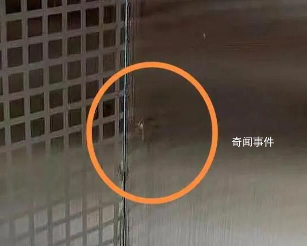 刚三月就有蚊子?专家解释