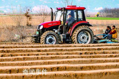 春暖花开农事正忙 田间地头一派繁忙景象