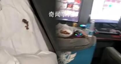 男子在电竞酒店枕头下发现一窝老鼠 酒店的解释是可能是窗户没关好所致