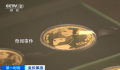 多年前买的熊猫金币涨了800元 黄金回购业务火热起来
