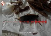 男子称卤鸭头吃到拇指大蟑螂 已将此事投诉至相关部门