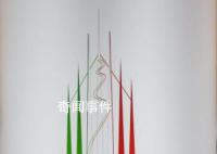 2026年亚运会将不建设运动员村 计划通过租借酒店提供住宿