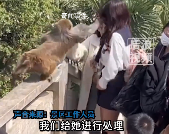 女子给猴子喂食被掌掴 景区回应