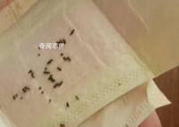 女子在卫生巾中发现大量发黑虫卵 网友：太可怕了