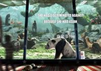 乌合麒麟发新作:希望丫丫早日回家