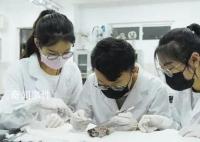医学生培养了八年 为何还不会看病?