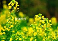 这个春天,与美好不期而遇