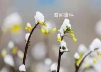 沉浸式倒春寒即将来袭 哪些人群要注意倒春寒