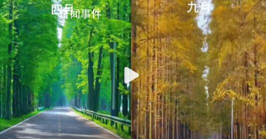 女子2年往返20多次记录回家风景 四季轮回好比人生次数让人羡慕