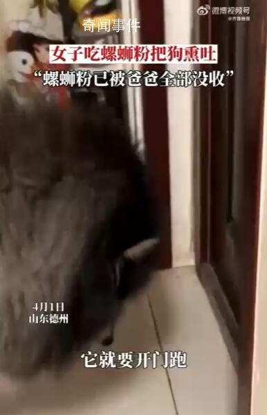 女子吃螺蛳粉把狗熏吐被没收 爸爸得知后没收了全部的螺蛳粉