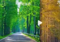 女子2年往返20多次记录回家风景 四季轮回好比人生次数让人羡慕