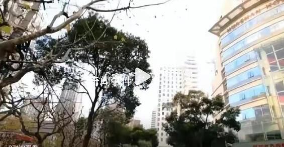 医生因纠纷杀害护士妻子被控制 案件正在进一步侦办中