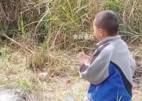 男孩扫墓在奶奶坟前跪求不写作业 这一幕引发网友热议