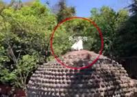女子爬上乐山大佛头顶盘腿打坐 景区：收到多人投诉已派人处理