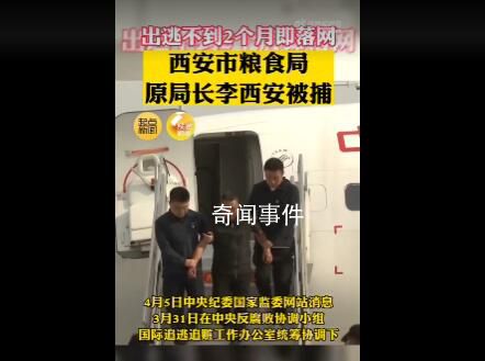 西安粮食局原局长出逃不到2个月落网 李西安个人资料简介