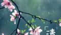 清明时节雨纷纷有三大原因 清明为什么总下雨