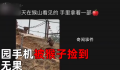 猴子捡走游客手机还接了电话 会接电话还会挂断电话